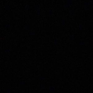 Meet your Posher, Danyela